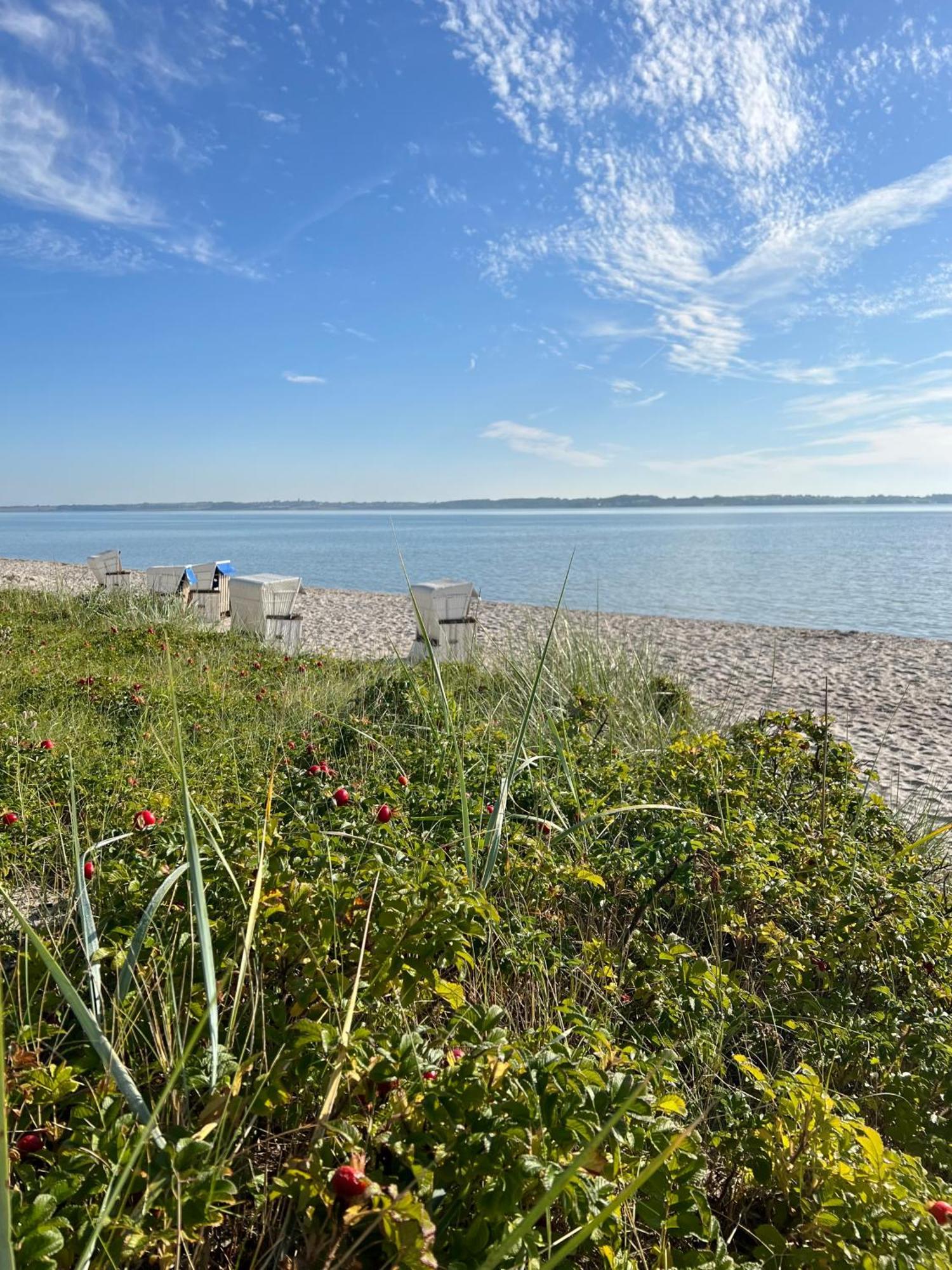 Ostsee-Strandhaus-Holnis Gluecksburg Ngoại thất bức ảnh